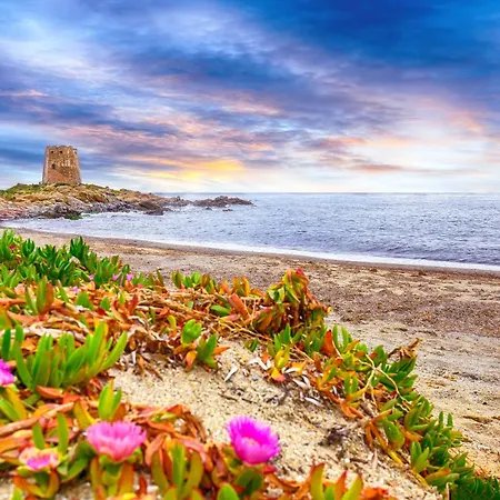 Le Corti Sarde 102 *